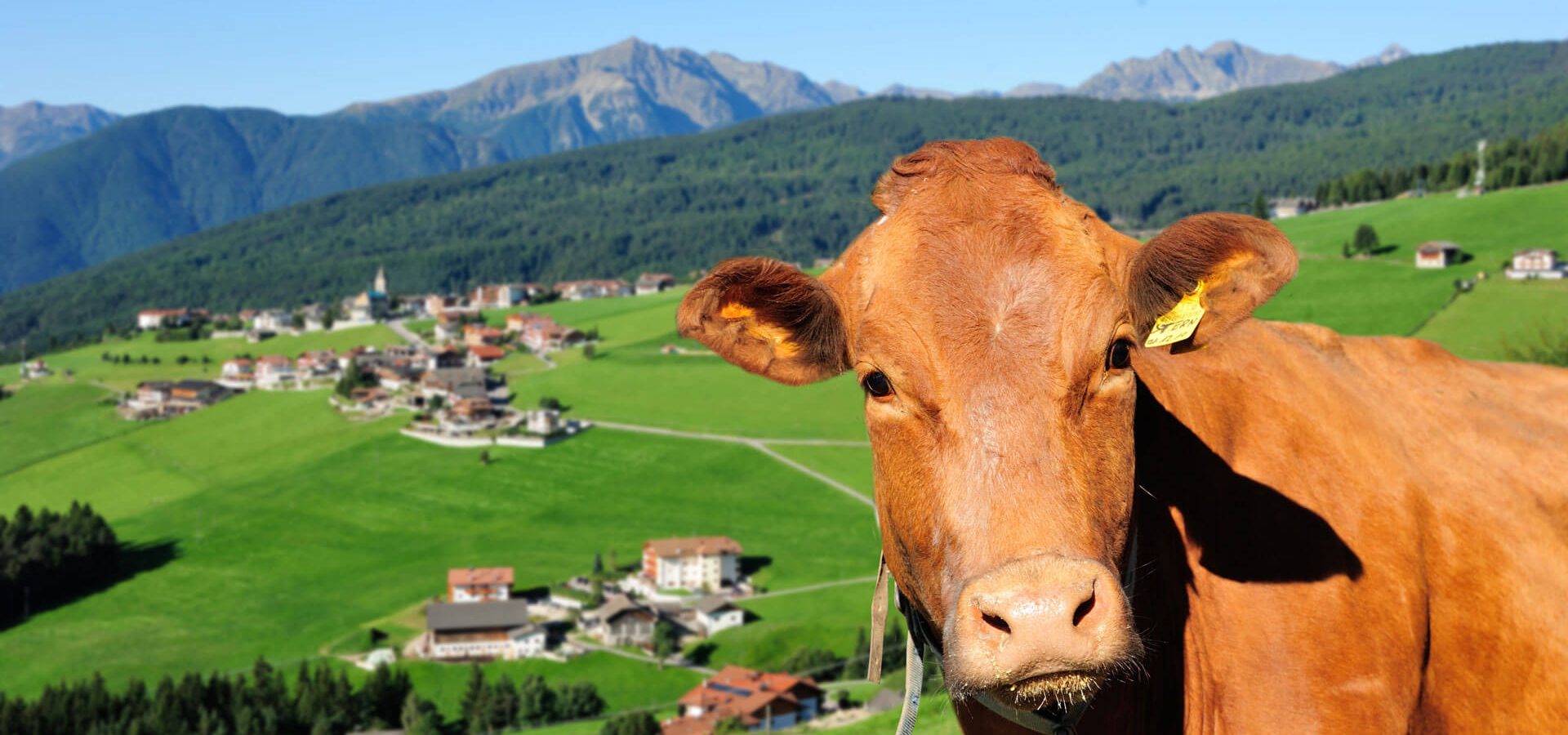 Bauernhofurlaub in Meransen/Mühlbach - Südtirol