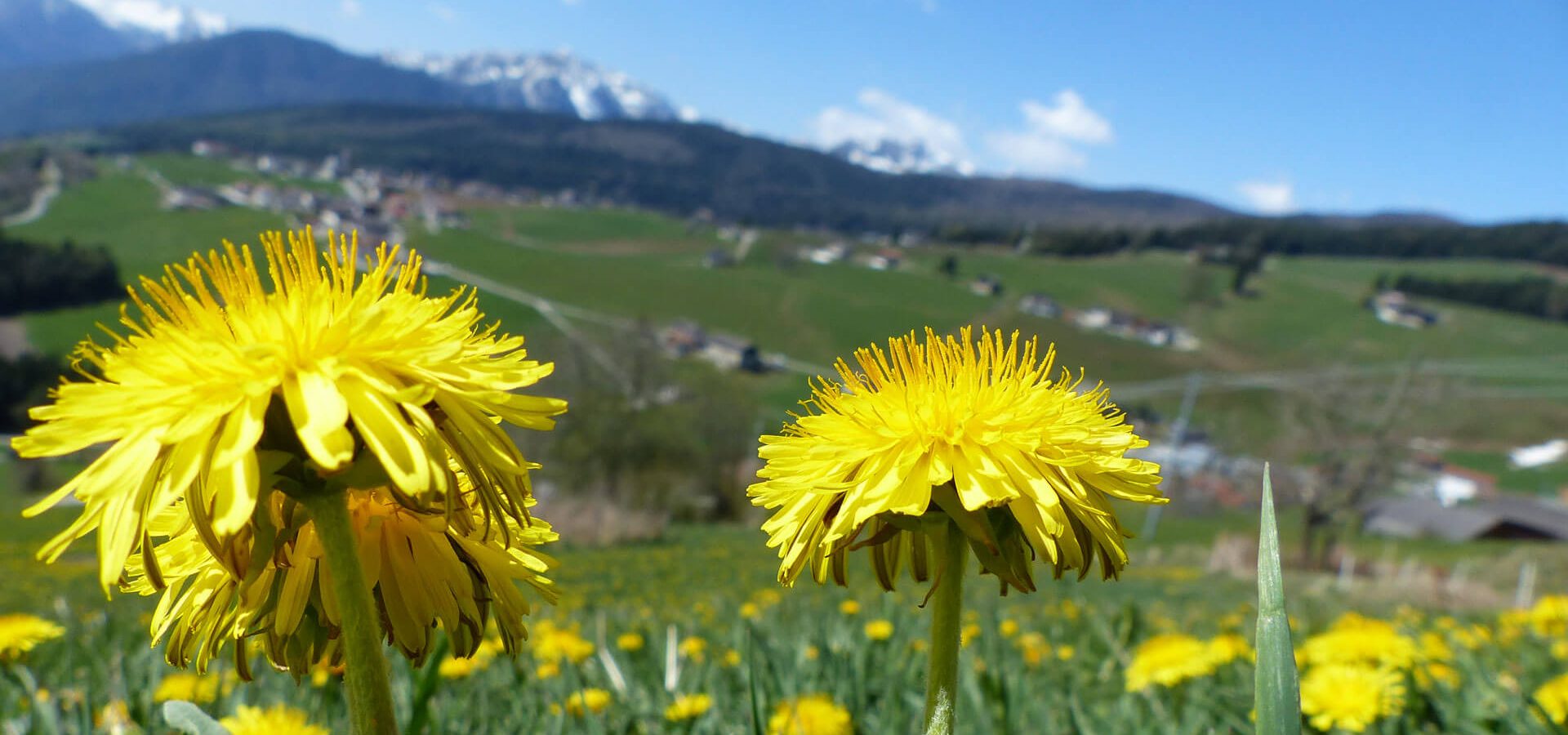 Sommerurlaub in Meransen - Südtirol