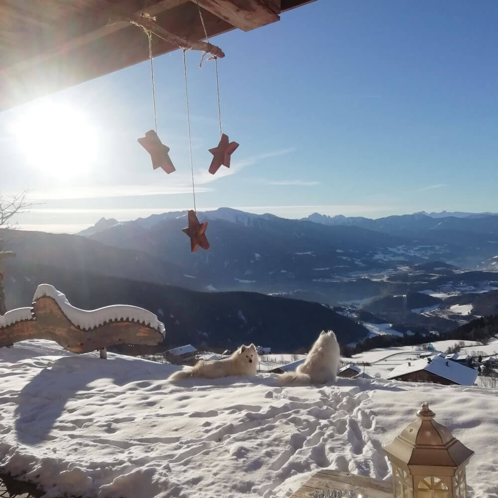 winterurlaub gitschberg jochtal